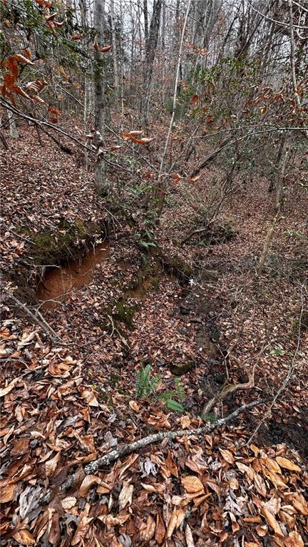 00 Local Road #LOCAL, Mayodan, North Carolina image 27