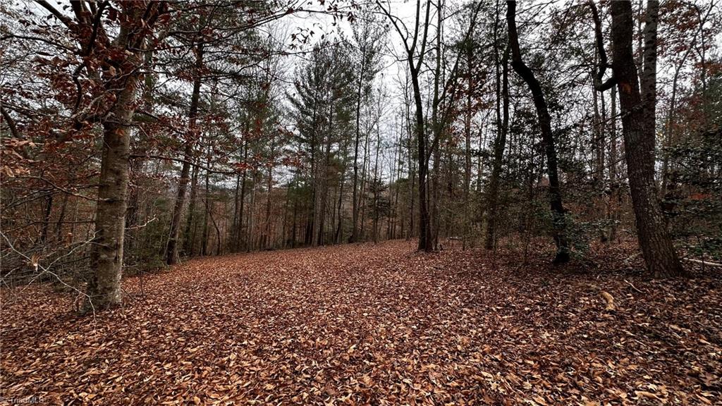 00 Local Road #LOCAL, Mayodan, North Carolina image 8