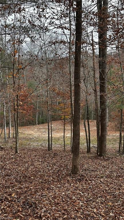 00 Local Road #LOCAL, Mayodan, North Carolina image 13