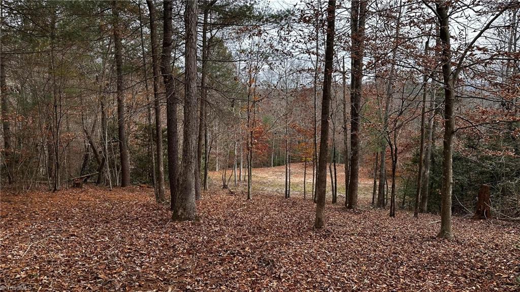 00 Local Road #LOCAL, Mayodan, North Carolina image 1