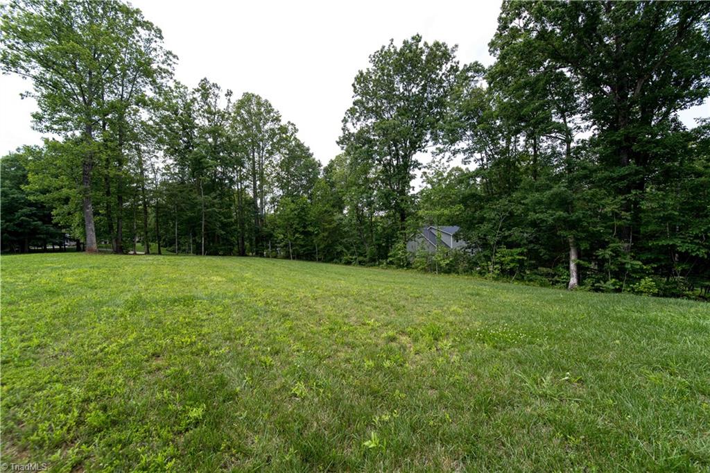 2553 Whipporwill Court, Rural Hall, North Carolina image 31