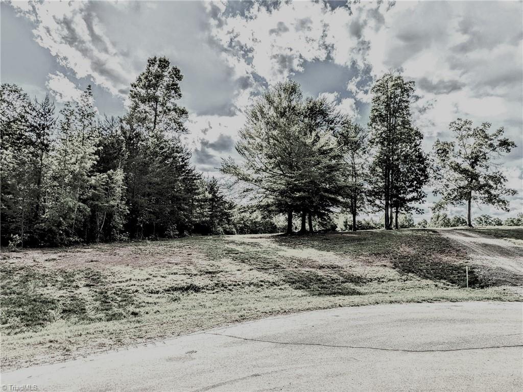 263 Lake Meadows Drive, Reidsville, North Carolina image 1