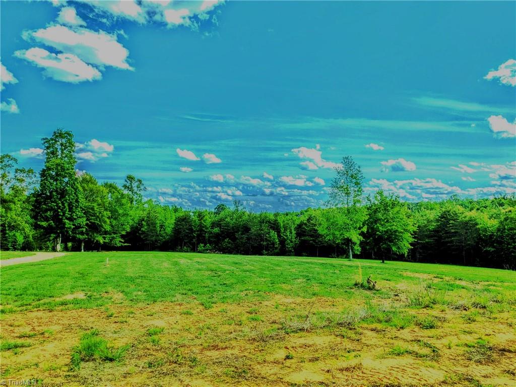 263 Lake Meadows Drive, Reidsville, North Carolina image 10