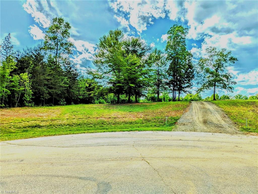 263 Lake Meadows Drive, Reidsville, North Carolina image 2