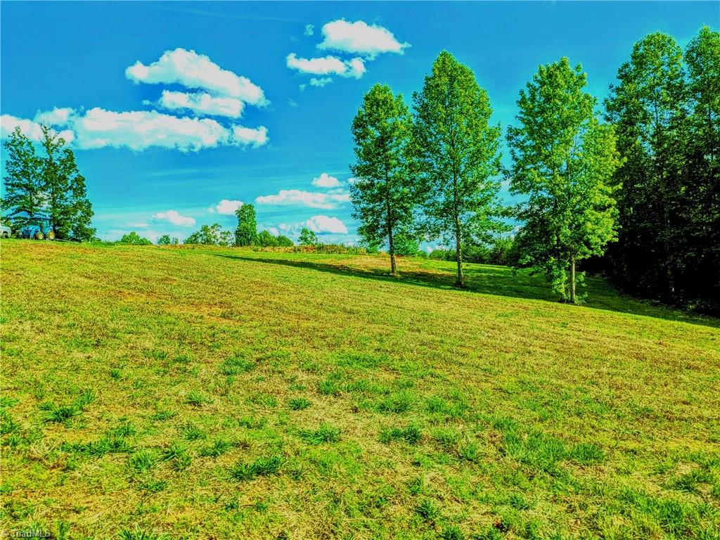263 Lake Meadows Drive, Reidsville, North Carolina image 9