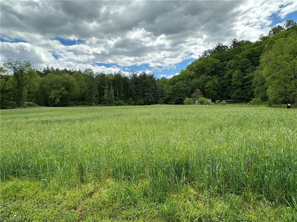 813 Blevins Store Road, Mount Airy, North Carolina image 33