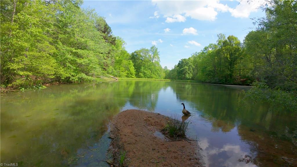 195 Old Hollow Road, Pilot Mountain, North Carolina image 36