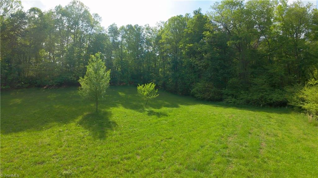 195 Old Hollow Road, Pilot Mountain, North Carolina image 41
