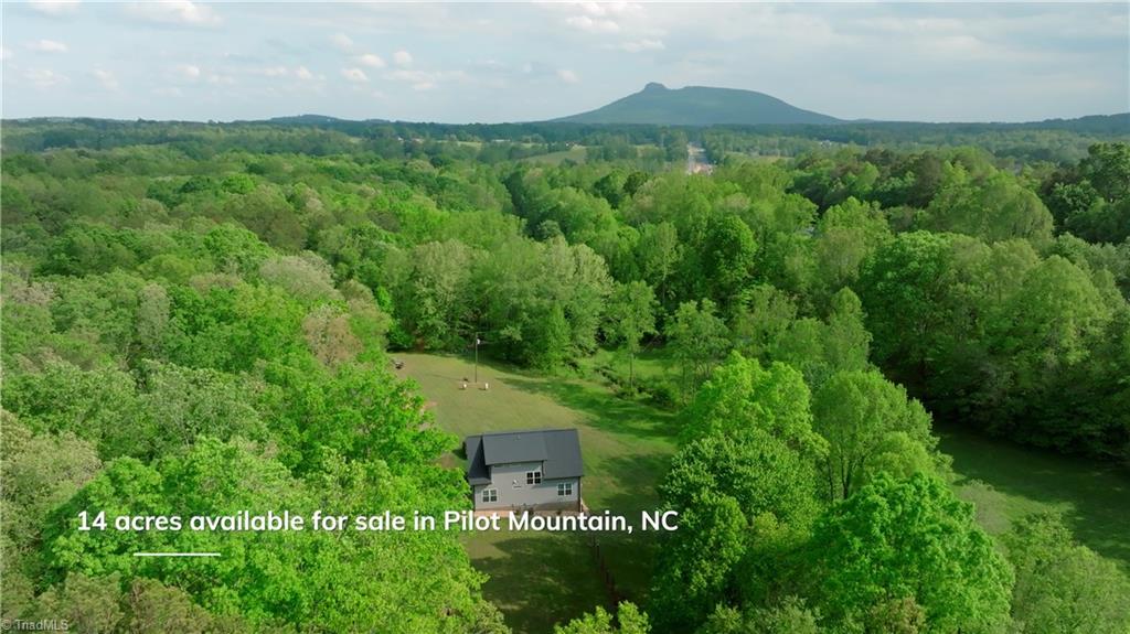 195 Old Hollow Road, Pilot Mountain, North Carolina image 1