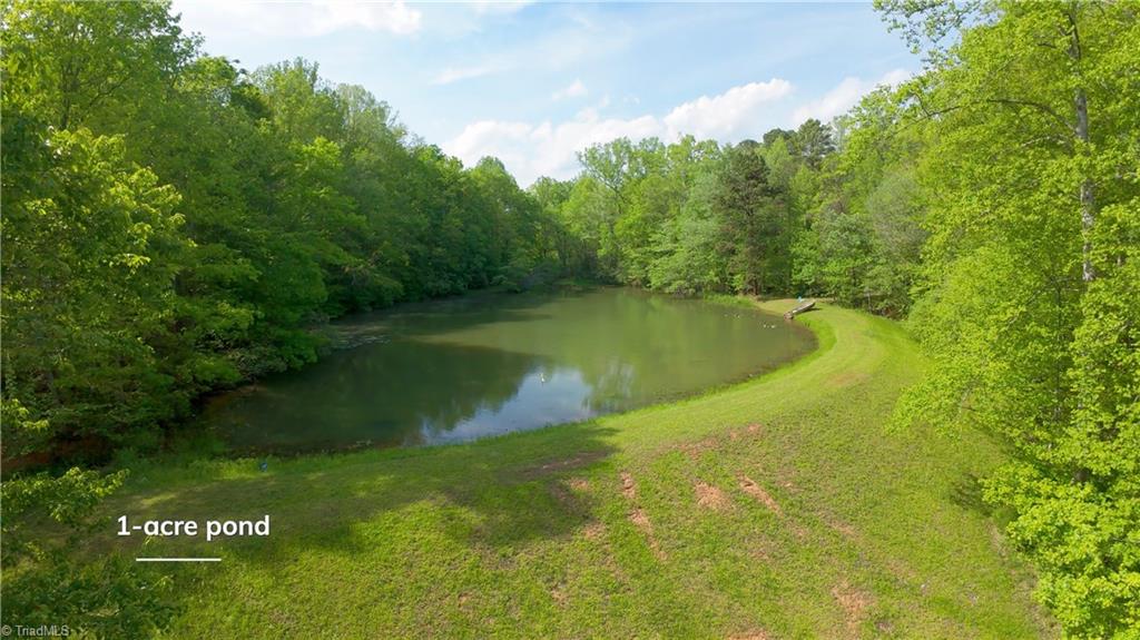 195 Old Hollow Road, Pilot Mountain, North Carolina image 42