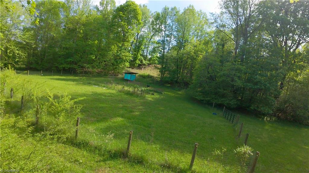 195 Old Hollow Road, Pilot Mountain, North Carolina image 46