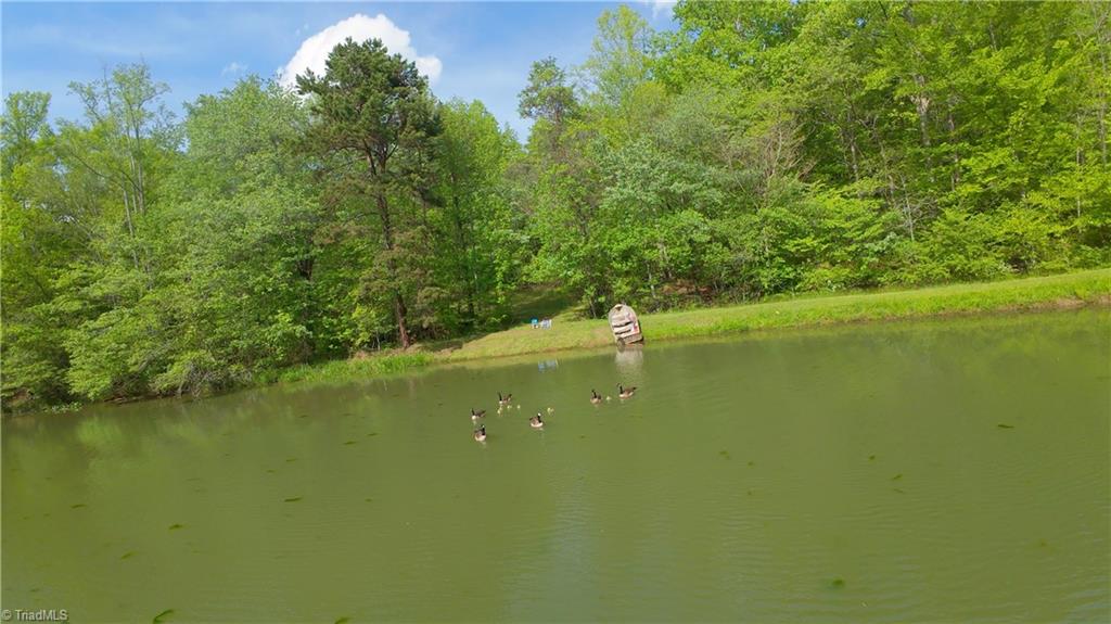 195 Old Hollow Road, Pilot Mountain, North Carolina image 43