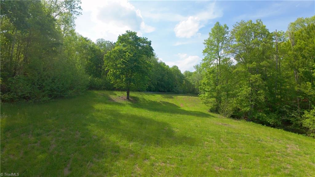 195 Old Hollow Road, Pilot Mountain, North Carolina image 35