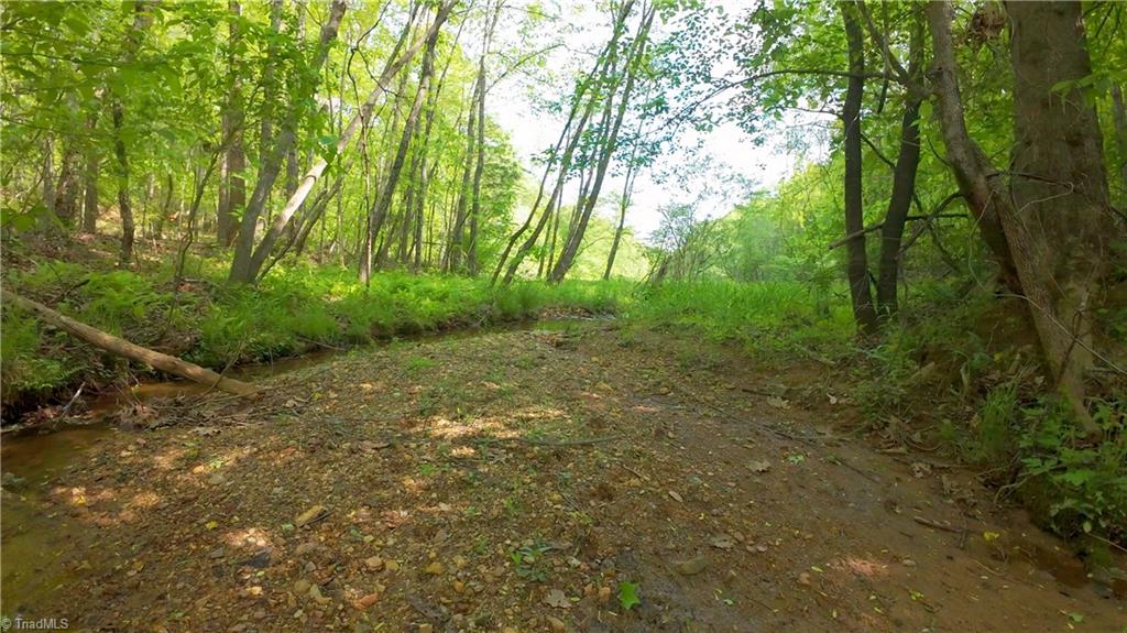 195 Old Hollow Road, Pilot Mountain, North Carolina image 37