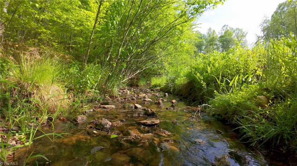 195 Old Hollow Road, Pilot Mountain, North Carolina image 45