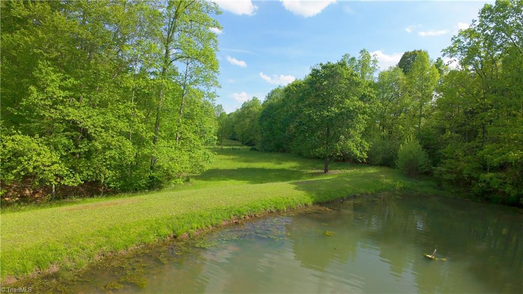 195 Old Hollow Road, Pilot Mountain, North Carolina image 44