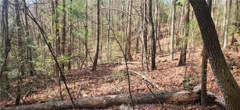Vacant Land For Sale - TBD Cane Creek Church Road<br/> McGrady, NC 28649