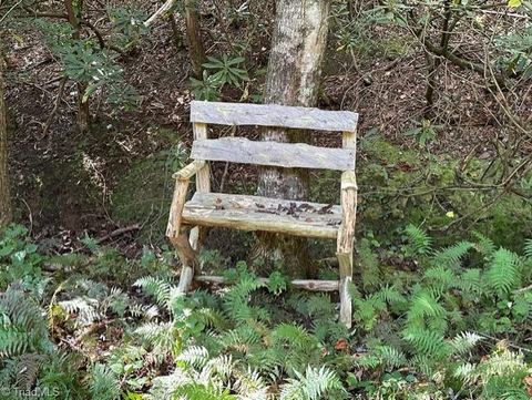 Vacant Land For Sale - 60 Jonathan Drive<br/> Lowgap, NC 27024