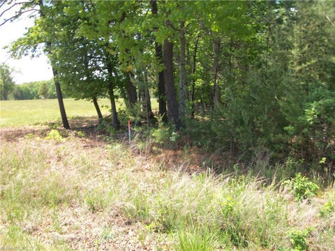 Vacant Land For Sale - 00 Floyd Road<br/> Eden, NC 27288