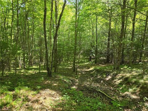 Vacant Land For Sale - TBD 50 Deer Spring Lane<br/> Ashe County, West Jefferson, NC 28694