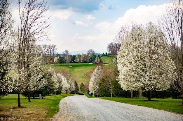 Lot 15 Bear Den Road, Sparta, North Carolina image 3