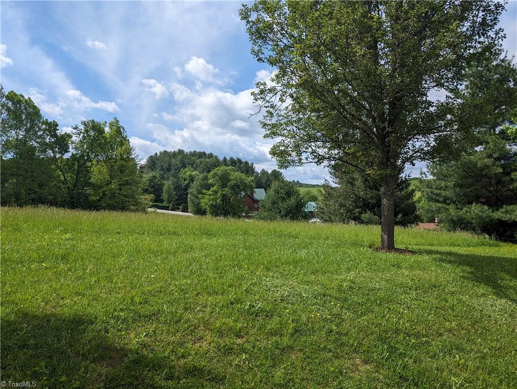 Lot 15 Bear Den Road, Sparta, North Carolina image 13