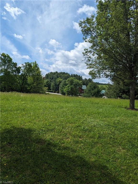 Lot 15 Bear Den Road, Sparta, North Carolina image 17