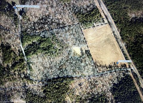 Vacant Land For Sale - 11.05 ACRES Elmore Road<br/> Caswell County, Leasburg, NC 27291