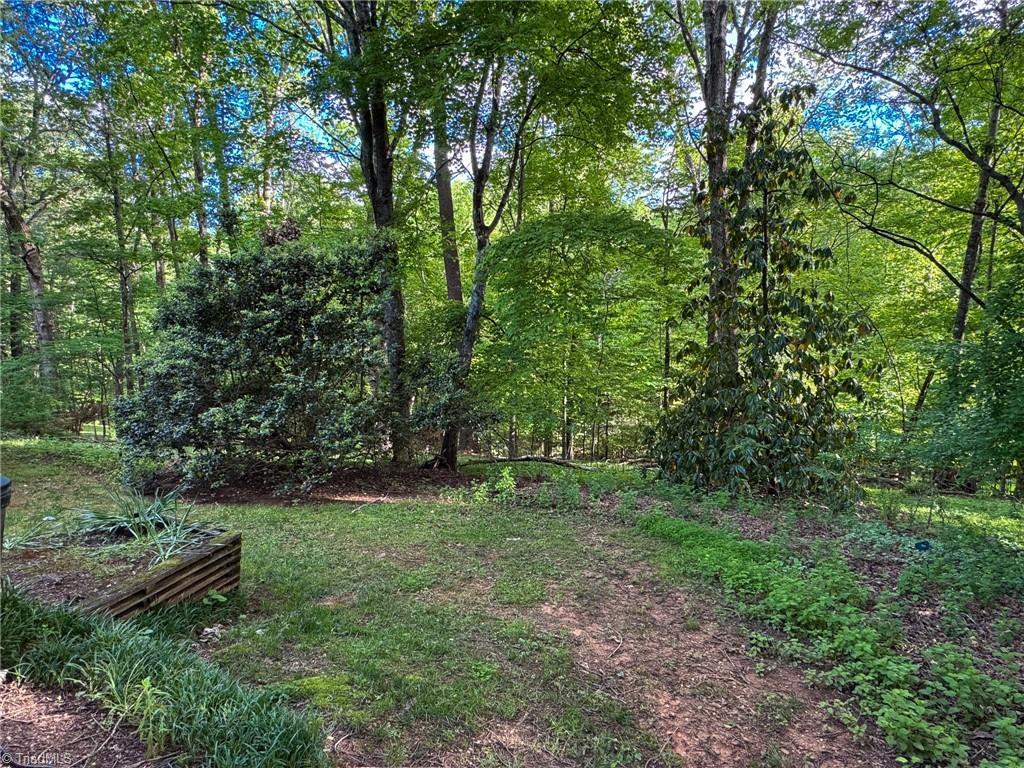 539 Pine Creek Trail, Mount Airy, North Carolina image 10