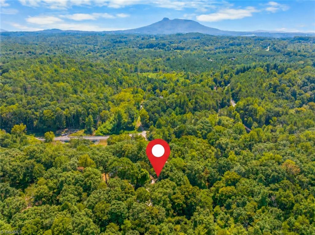 Photo of 144 Cliff Side Trail, Pilot Mountain, NC 27041 (MLS # 1237128)