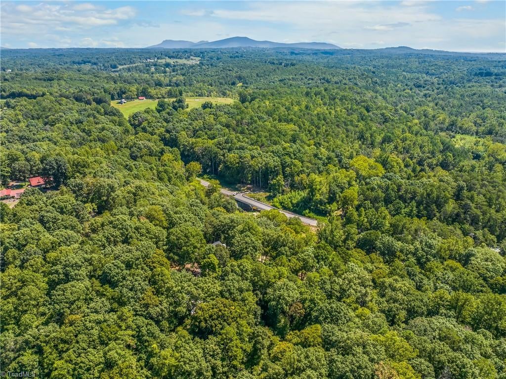 Photo of 144 Cliff Side Trail, Pilot Mountain, NC 27041 (MLS # 1237128)