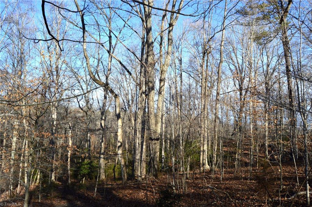 90 Acres West Tract - Nc Highway 89, Danbury, North Carolina image 2