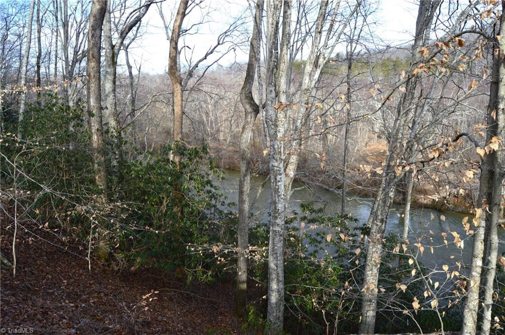 90 Acres West Tract - Nc Highway 89, Danbury, North Carolina image 7