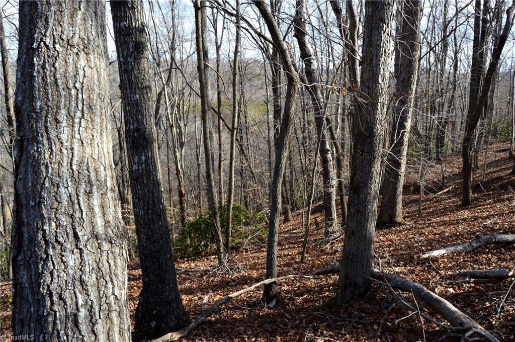 90 Acres West Tract - Nc Highway 89, Danbury, North Carolina image 18