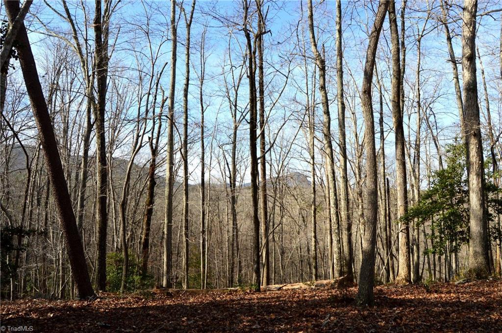90 Acres West Tract - Nc Highway 89, Danbury, North Carolina image 17