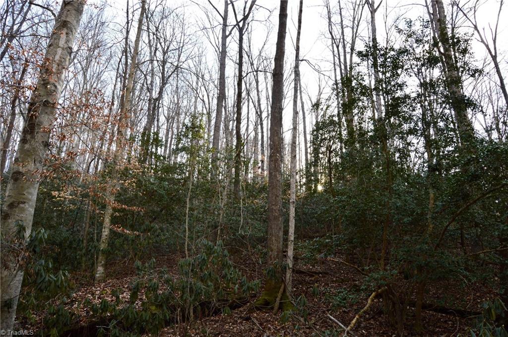 90 Acres West Tract - Nc Highway 89, Danbury, North Carolina image 5