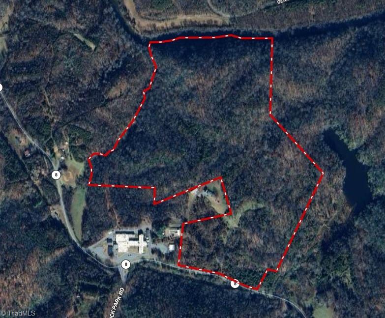 90 Acres West Tract - Nc Highway 89, Danbury, North Carolina image 1