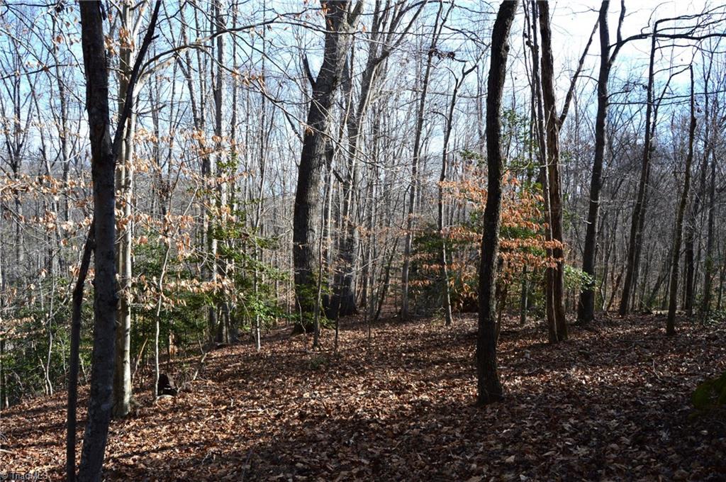 90 Acres West Tract - Nc Highway 89, Danbury, North Carolina image 15