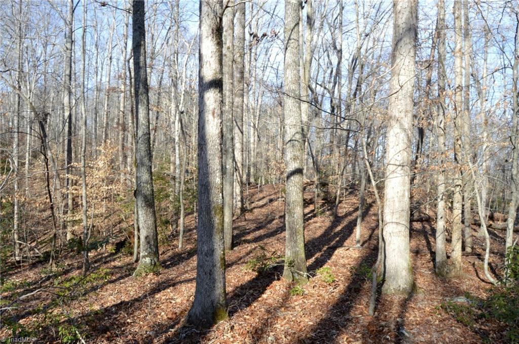 90 Acres West Tract - Nc Highway 89, Danbury, North Carolina image 13