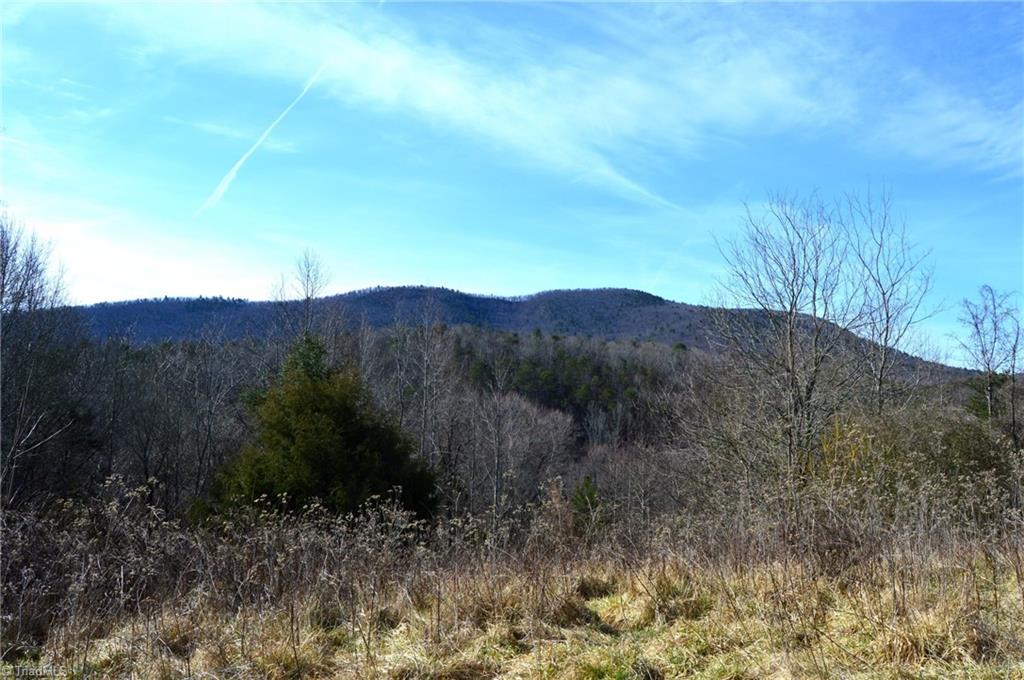 90 Acres West Tract - Nc Highway 89, Danbury, North Carolina image 20
