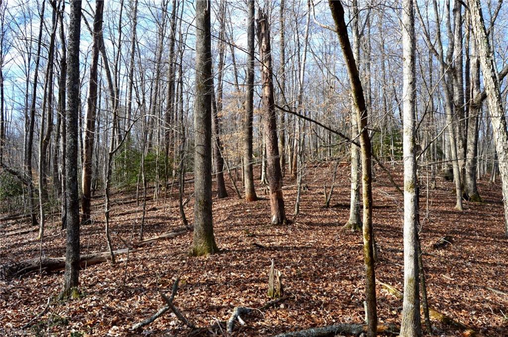 90 Acres West Tract - Nc Highway 89, Danbury, North Carolina image 8