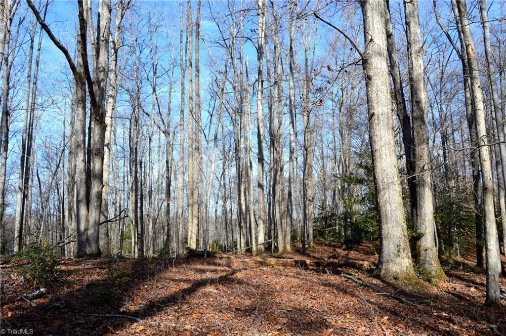90 Acres West Tract - Nc Highway 89, Danbury, North Carolina image 16