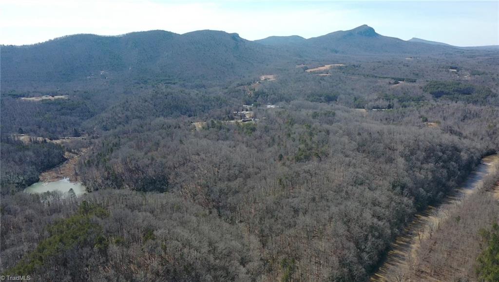 90 Acres West Tract - Nc Highway 89, Danbury, North Carolina image 23