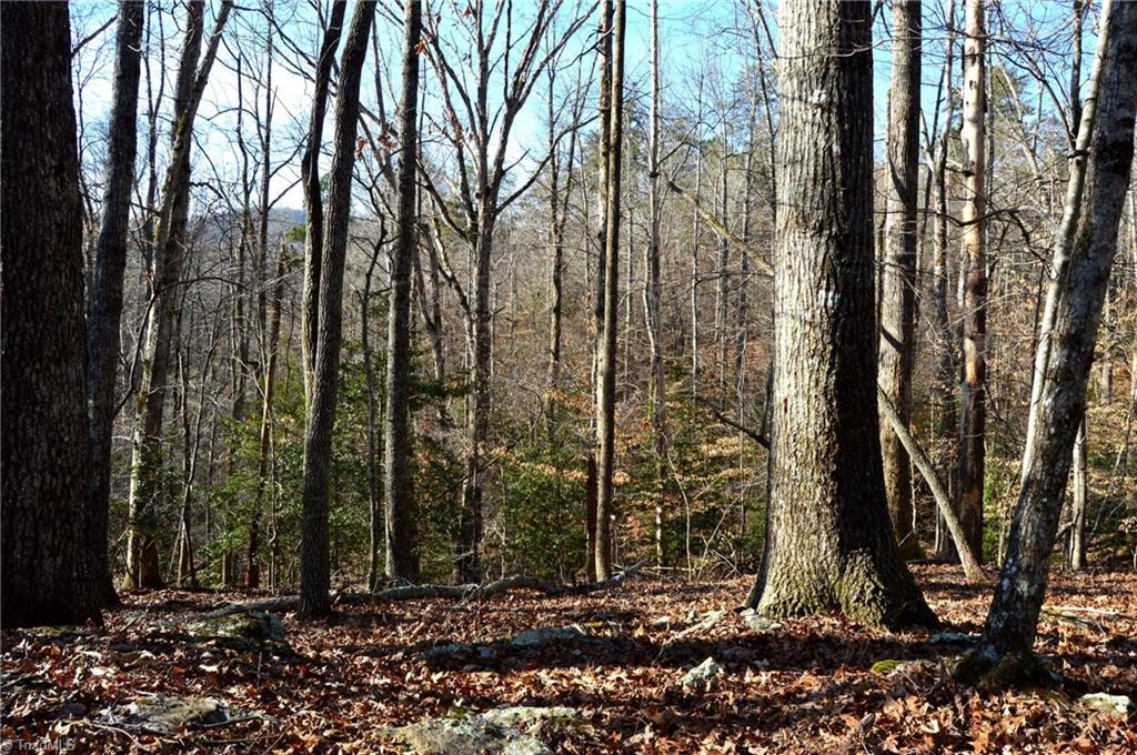 90 Acres West Tract - Nc Highway 89, Danbury, North Carolina image 12