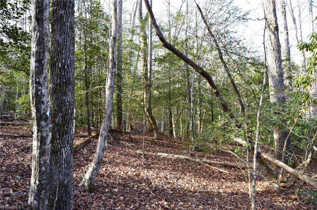 90 Acres West Tract - Nc Highway 89, Danbury, North Carolina image 11