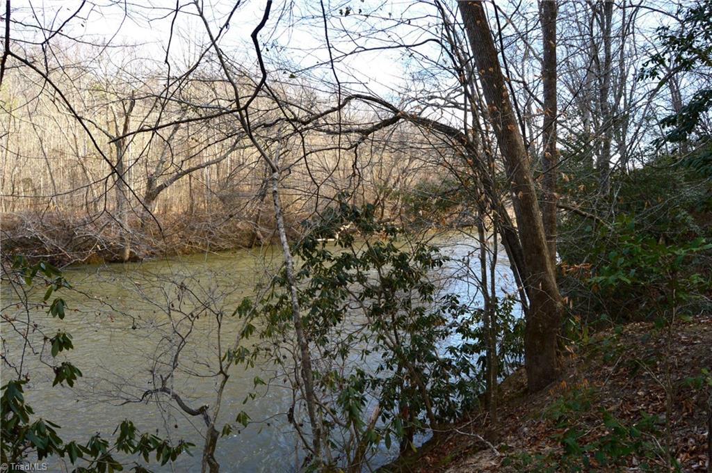 90 Acres West Tract - Nc Highway 89, Danbury, North Carolina image 6