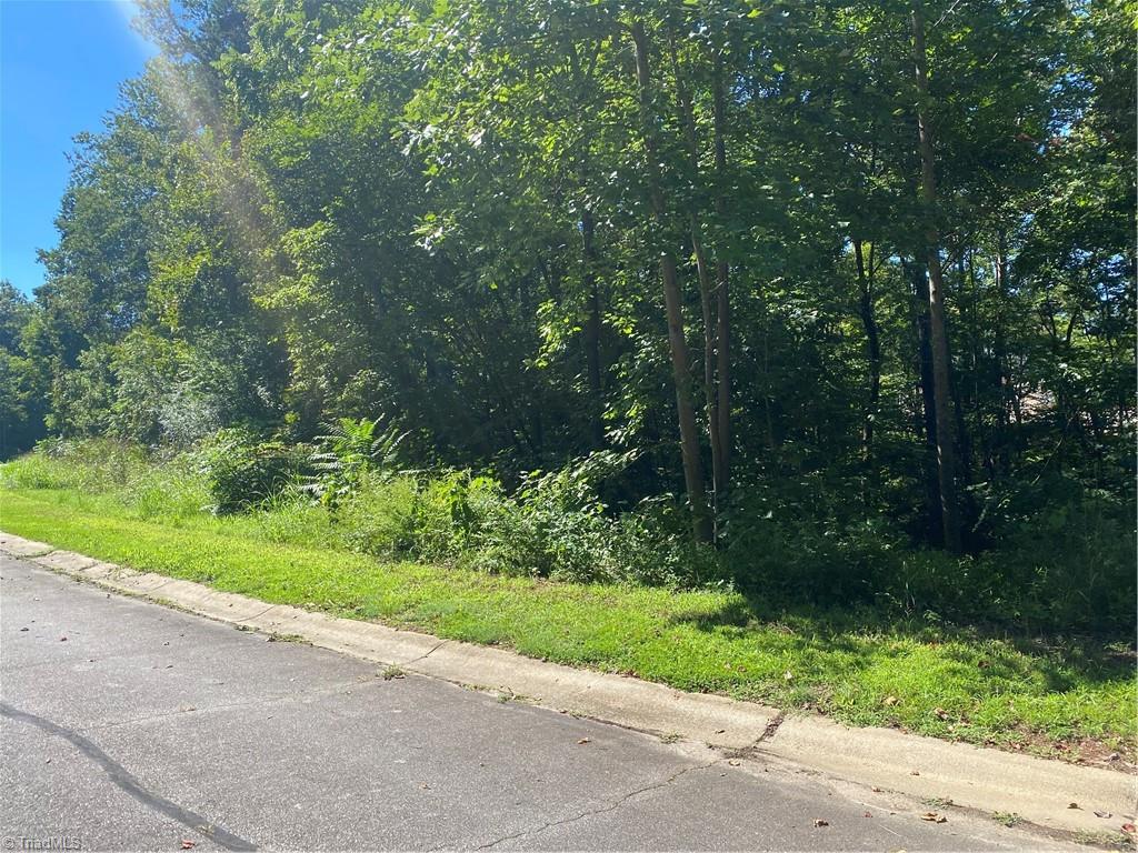 Photo 5 of 11 of LOT 29 Rhode Island Court land