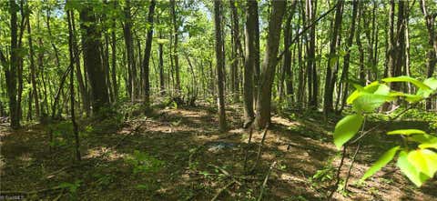Vacant Land For Sale - 00 Goose Creek Lane<br/> Patrick County, Ararat, VA 24053