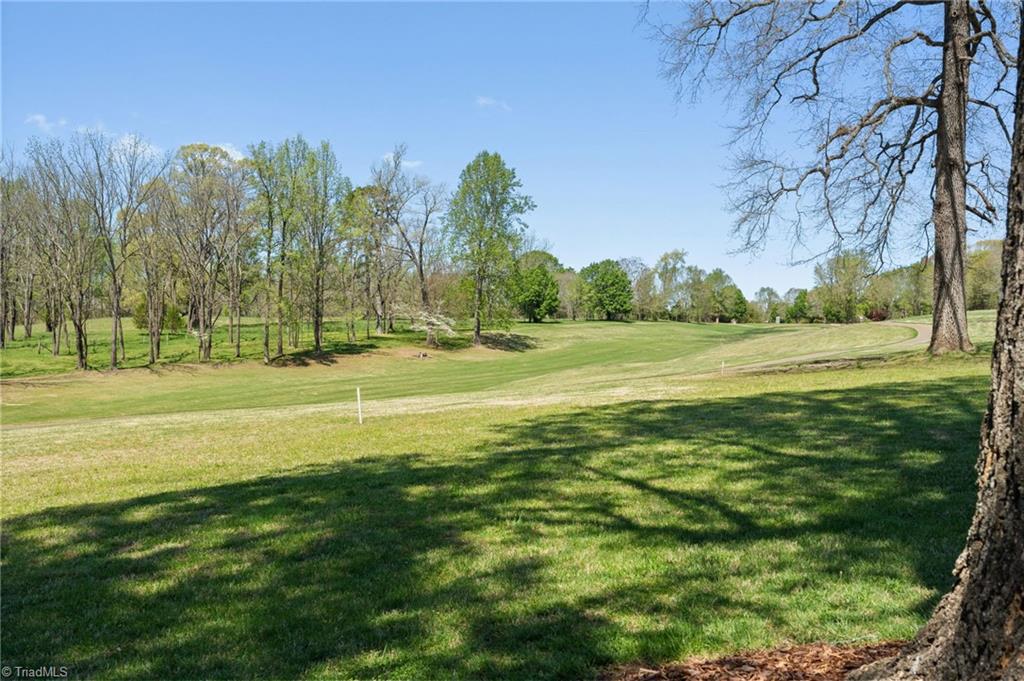 252 Brassie Lane, Summerfield, North Carolina image 44