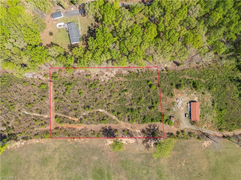 319 Macy Mae Way, Reidsville, North Carolina image 1